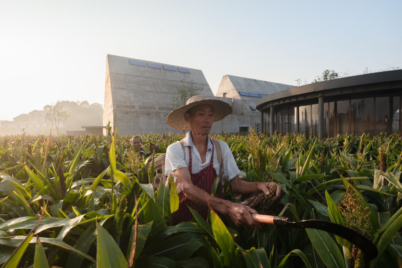 BIM建筑|释放天性的乡村俱乐部 :江小白的一亩三分地 JOYBO FARM / 未见筑设计事务所 BIM建筑|释放天性的乡村俱乐部 :江小白的一亩三分地 JOYBO FARM / 未见筑设计事务所