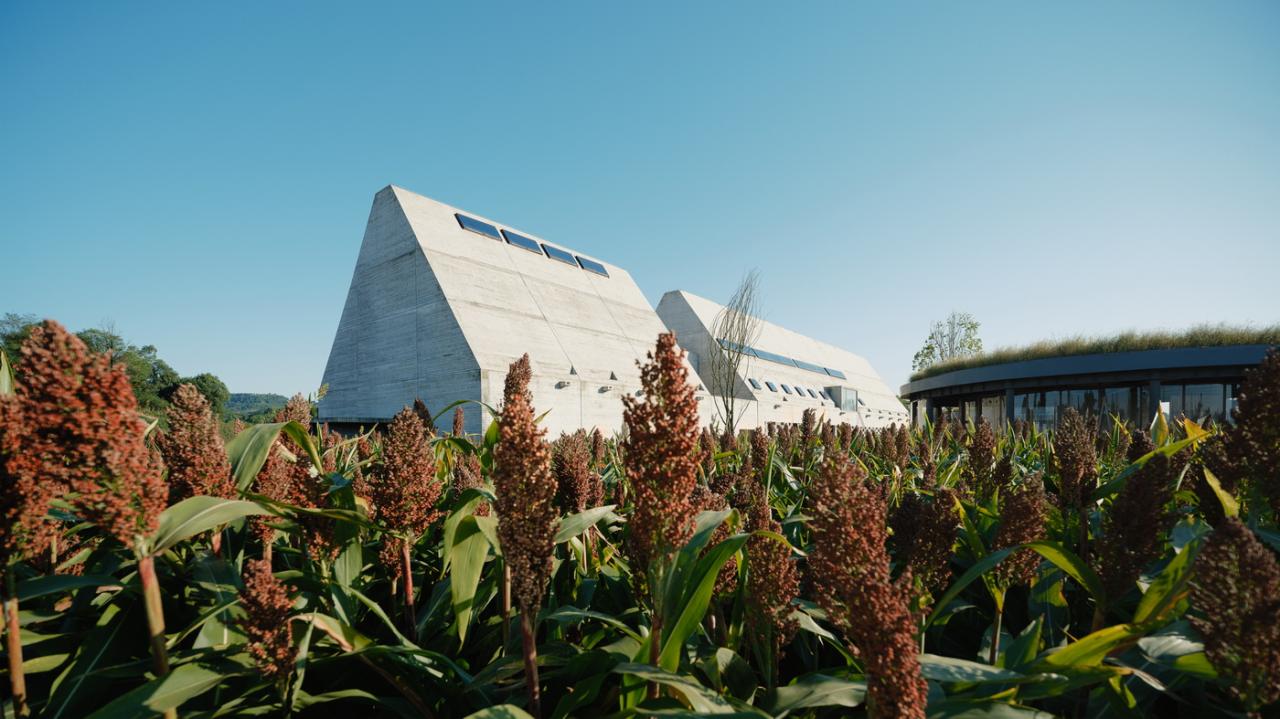 BIM建筑|释放天性的乡村俱乐部 :江小白的一亩三分地 JOYBO FARM / 未见筑设计事务所 BIM建筑|释放天性的乡村俱乐部 :江小白的一亩三分地 JOYBO FARM / 未见筑设计事务所