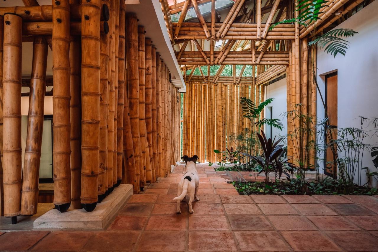 BIM建筑|竹林‘环绕’,Milguaduas 住宅 / ritmo arquitectos BIM建筑|竹林‘环绕’,Milguaduas 住宅 / ritmo arquitectos
