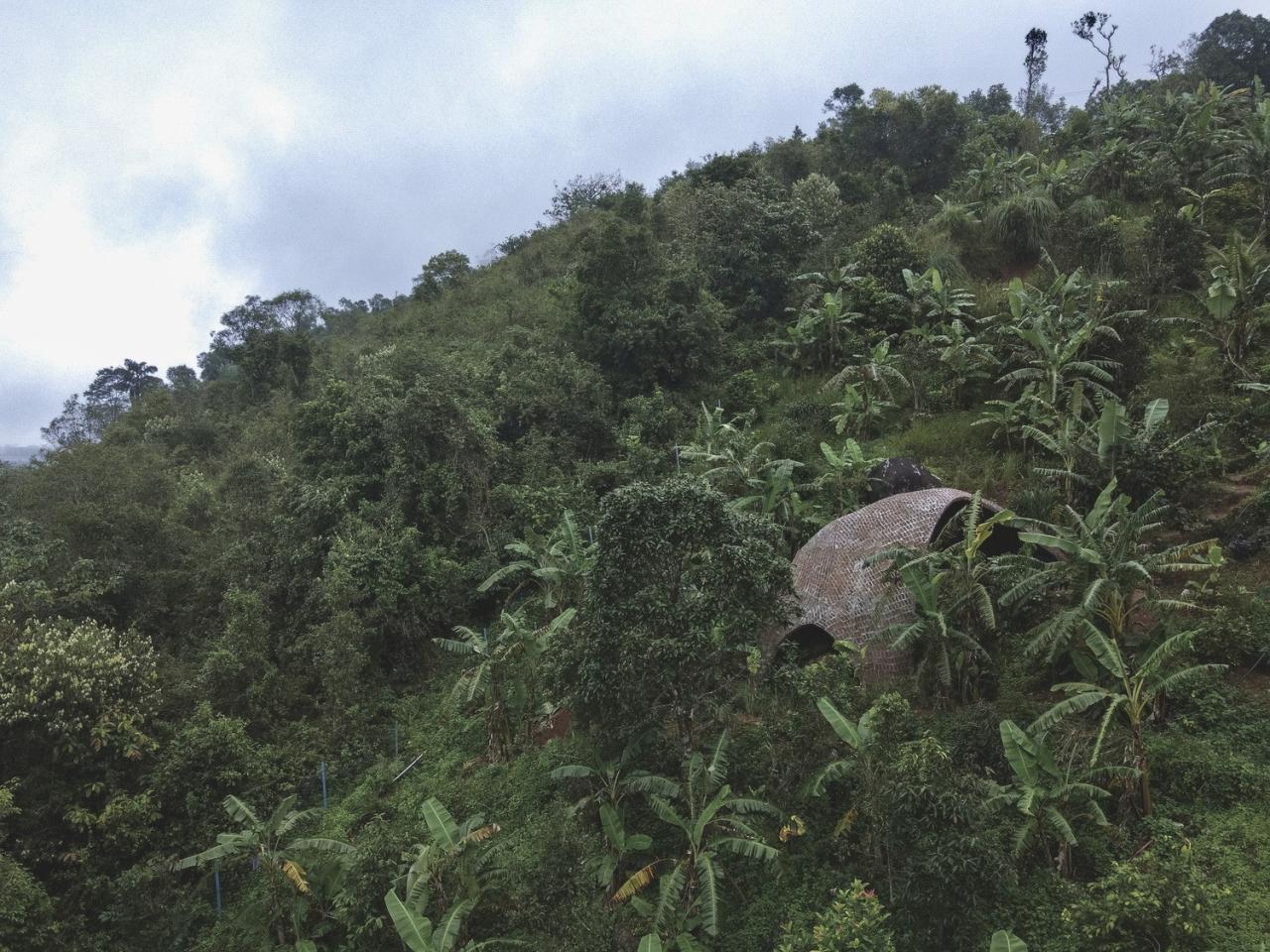 BIM建筑|薄壳拱顶结构牛棚 / Rnd Earth BIM建筑|薄壳拱顶结构牛棚 / Rnd Earth