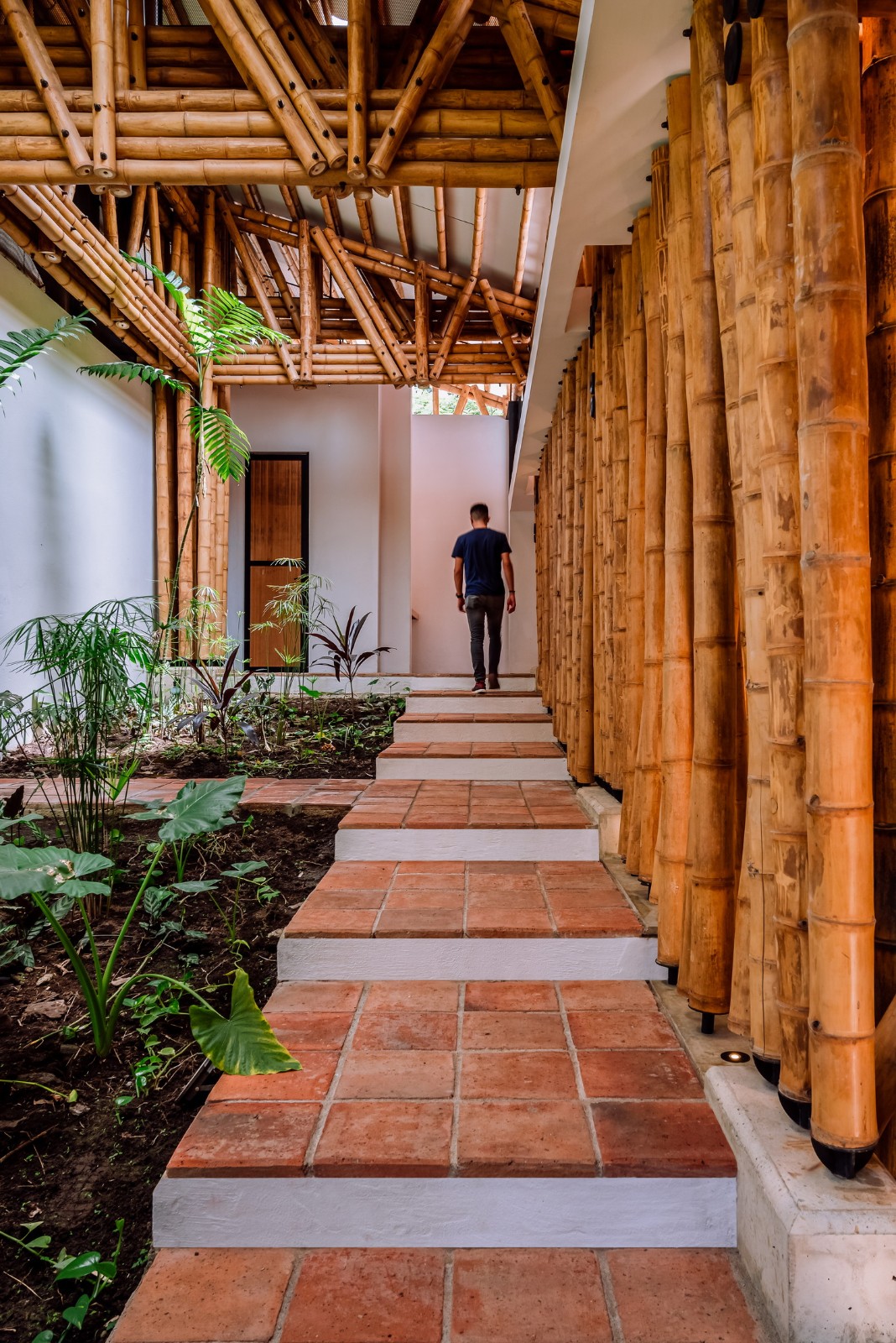 BIM建筑|竹林‘环绕’,Milguaduas 住宅 / ritmo arquitectos BIM建筑|竹林‘环绕’,Milguaduas 住宅 / ritmo arquitectos
