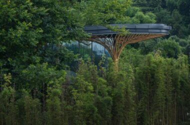 BIM建筑|邛崃竹博馆 / UNO Architects-BIM建筑网