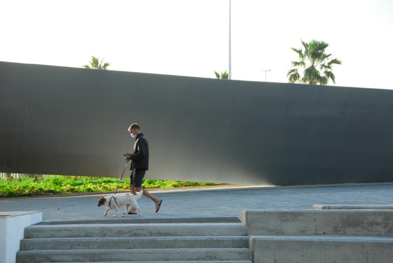 BIM建筑|飘起的人行桥,Onda Atlántica 桥 / Onda Arquitectura BIM建筑|飘起的人行桥,Onda Atlántica 桥 / Onda Arquitectura