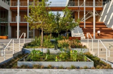 BIM建筑|晋斯勒使用太阳能电池板顶棚遮蔽德克萨斯州办公室-BIM建筑网