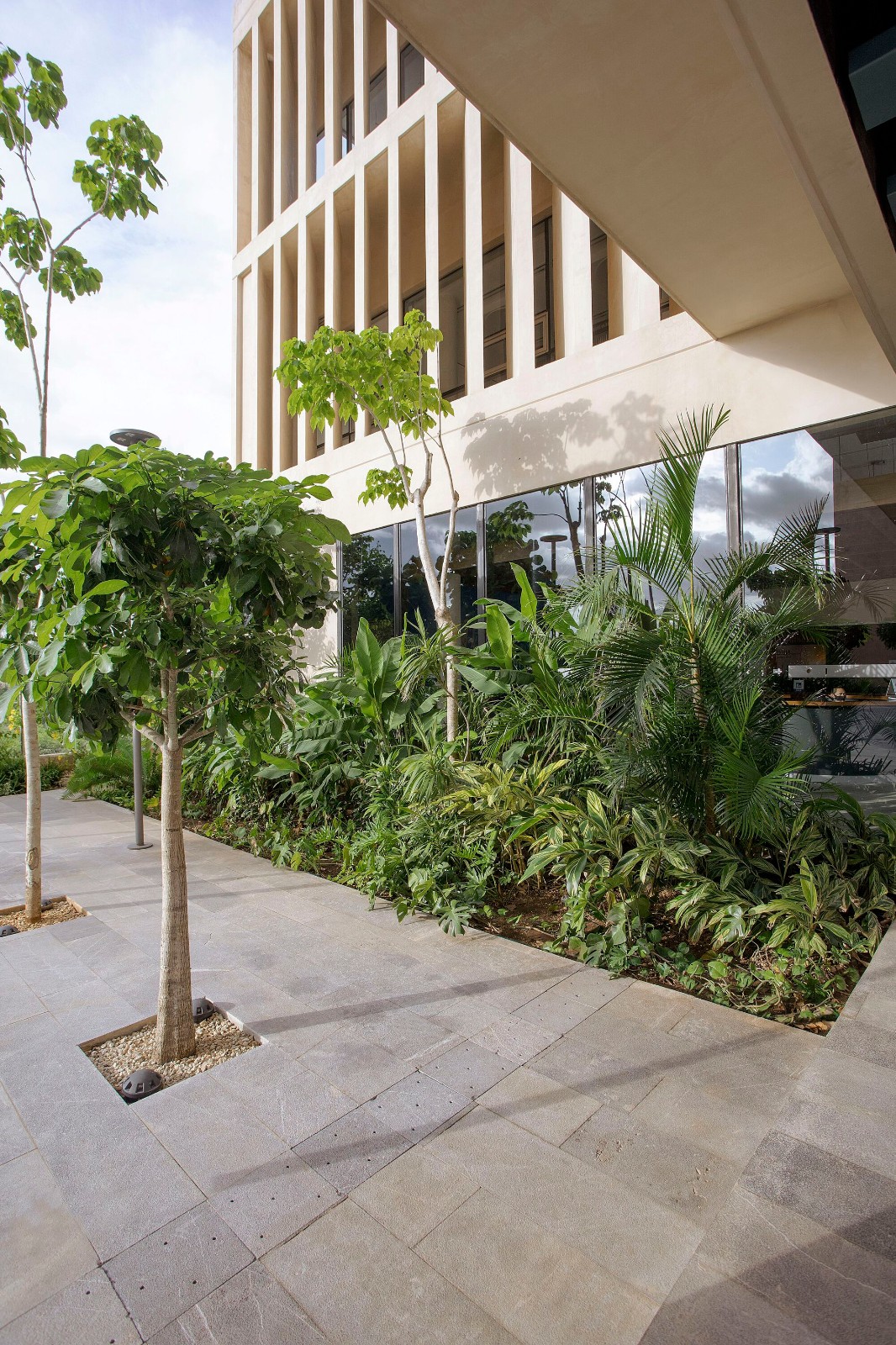 BIM建筑|梅里达银行与商业学校 / IUA Ignacio Urquiza Arquitectos BIM建筑|梅里达银行与商业学校 / IUA Ignacio Urquiza Arquitectos