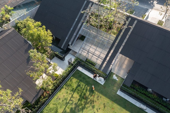 BIM建筑|EKAR将住房与酒店和狗的活动场所结合在一起 BIM建筑|EKAR将住房与酒店和狗的活动场所结合在一起