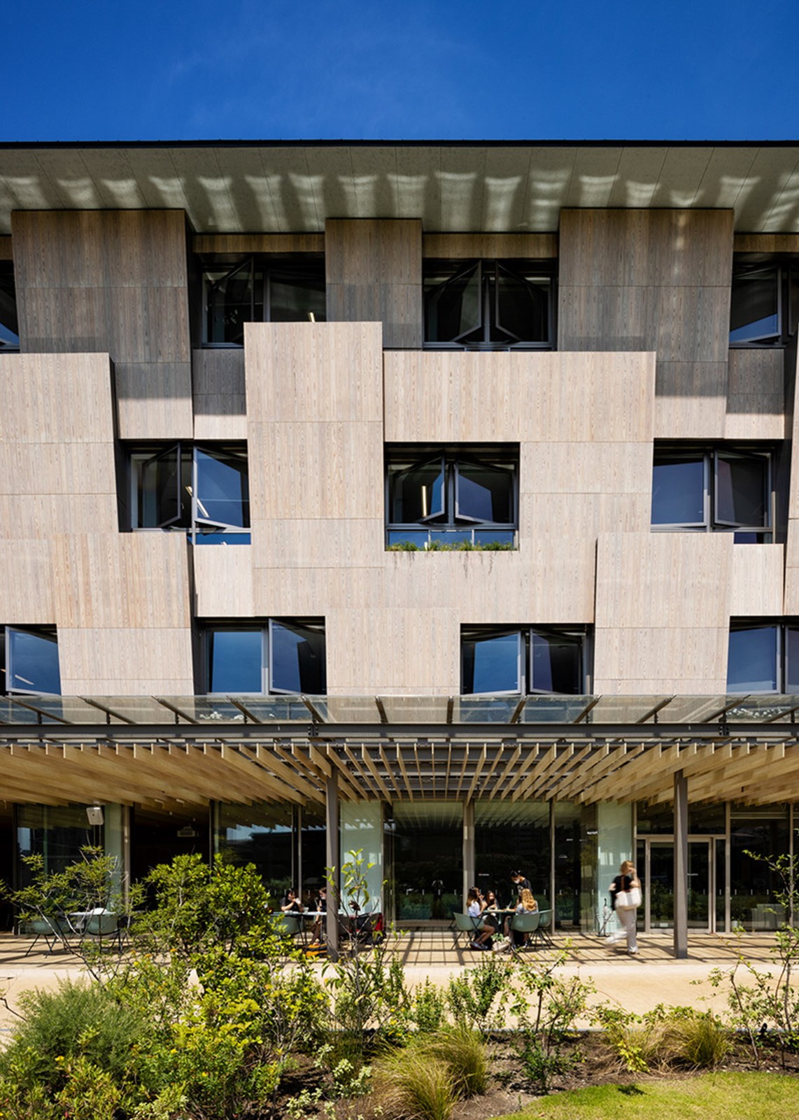 BIM建筑|横滨国际学校,内外均木质饰面 / 大成建设 + 隈研吾建筑都市设计事务所 BIM建筑|横滨国际学校,内外均木质饰面 / 大成建设 + 隈研吾建筑都市设计事务所