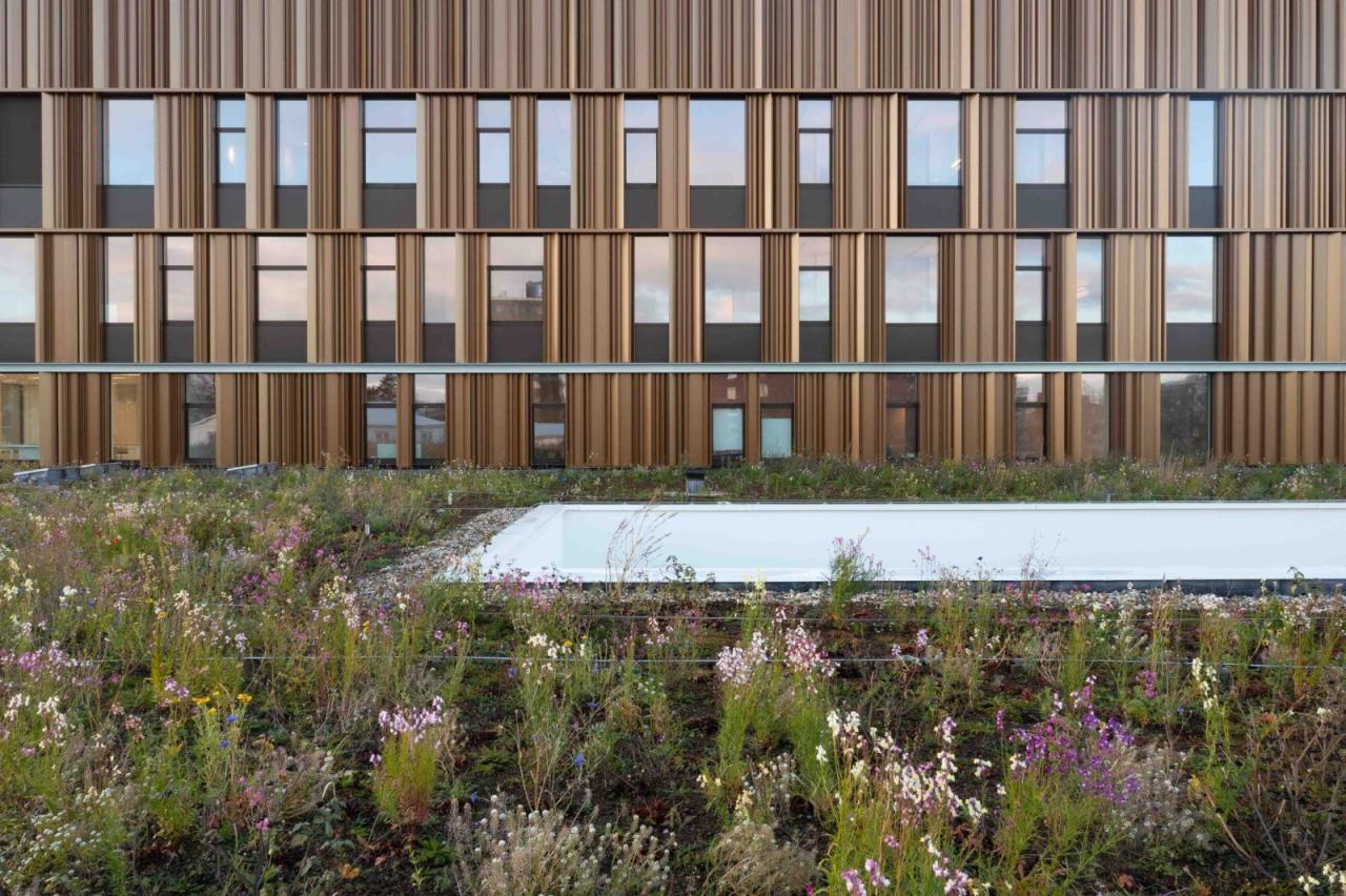 BIM建筑|Isala Meppel 医院 / Vakwerk 建筑事务所 BIM建筑|Isala Meppel 医院 / Vakwerk 建筑事务所