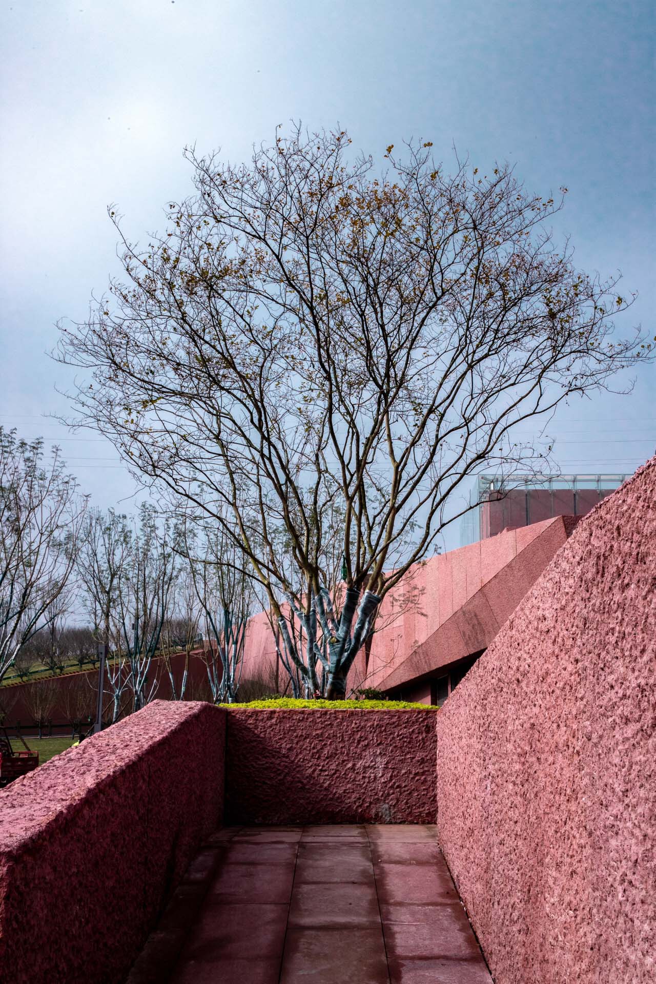 BIM建筑|江姐故里红色教育基地 / 四川省建筑设计研究院 BIM建筑|江姐故里红色教育基地 / 四川省建筑设计研究院