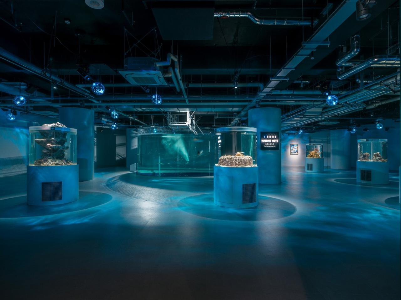 BIM建筑|神户港博物馆,海砂混凝土 / 大成建设 BIM建筑|神户港博物馆,海砂混凝土 / 大成建设