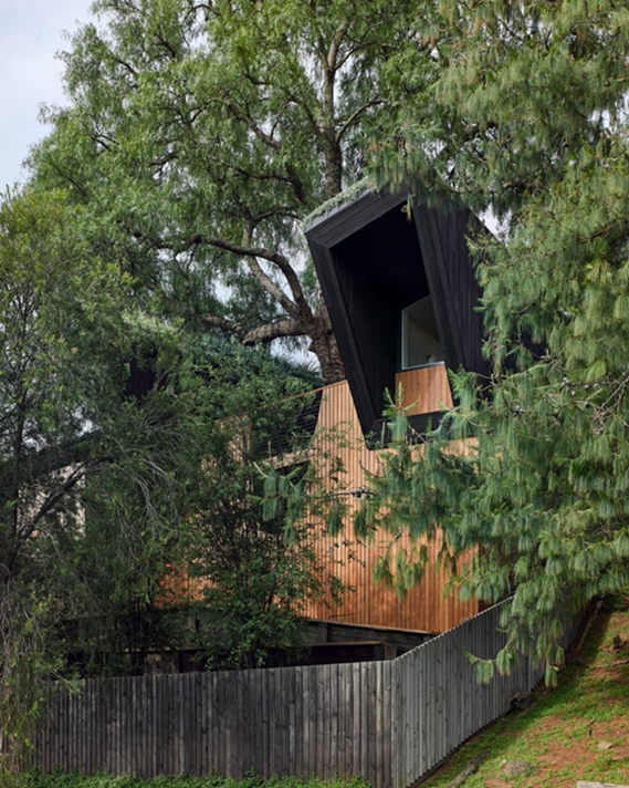 BIM建筑|赛姆斯设计“胡椒树被动住宅” BIM建筑|赛姆斯设计“胡椒树被动住宅”