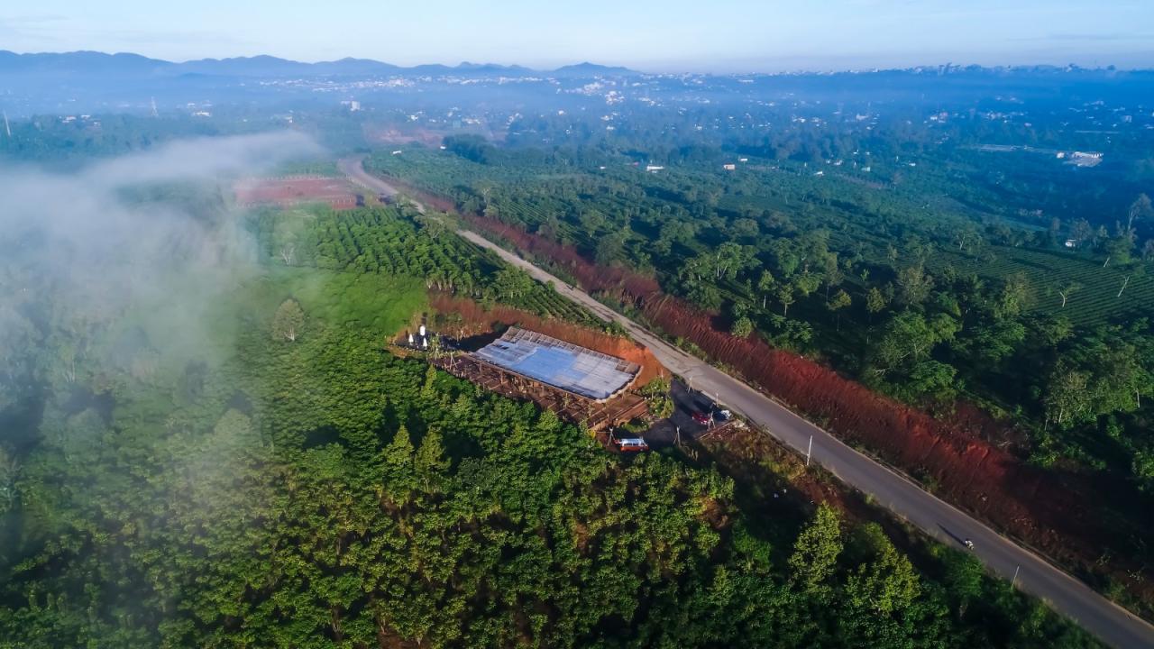 BIM建筑|隐隐看向天空,阮氏咖啡 / The Bloom BIM建筑|隐隐看向天空,阮氏咖啡 / The Bloom