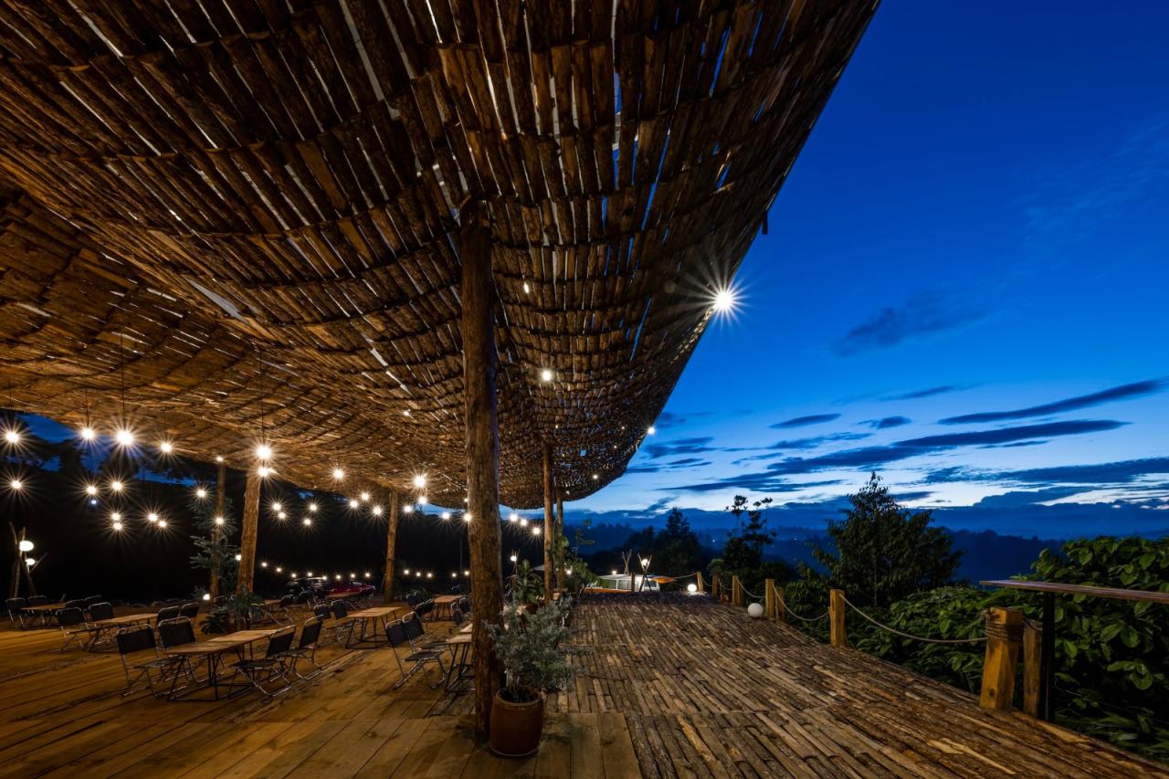 BIM建筑|隐隐看向天空,阮氏咖啡 / The Bloom BIM建筑|隐隐看向天空,阮氏咖啡 / The Bloom