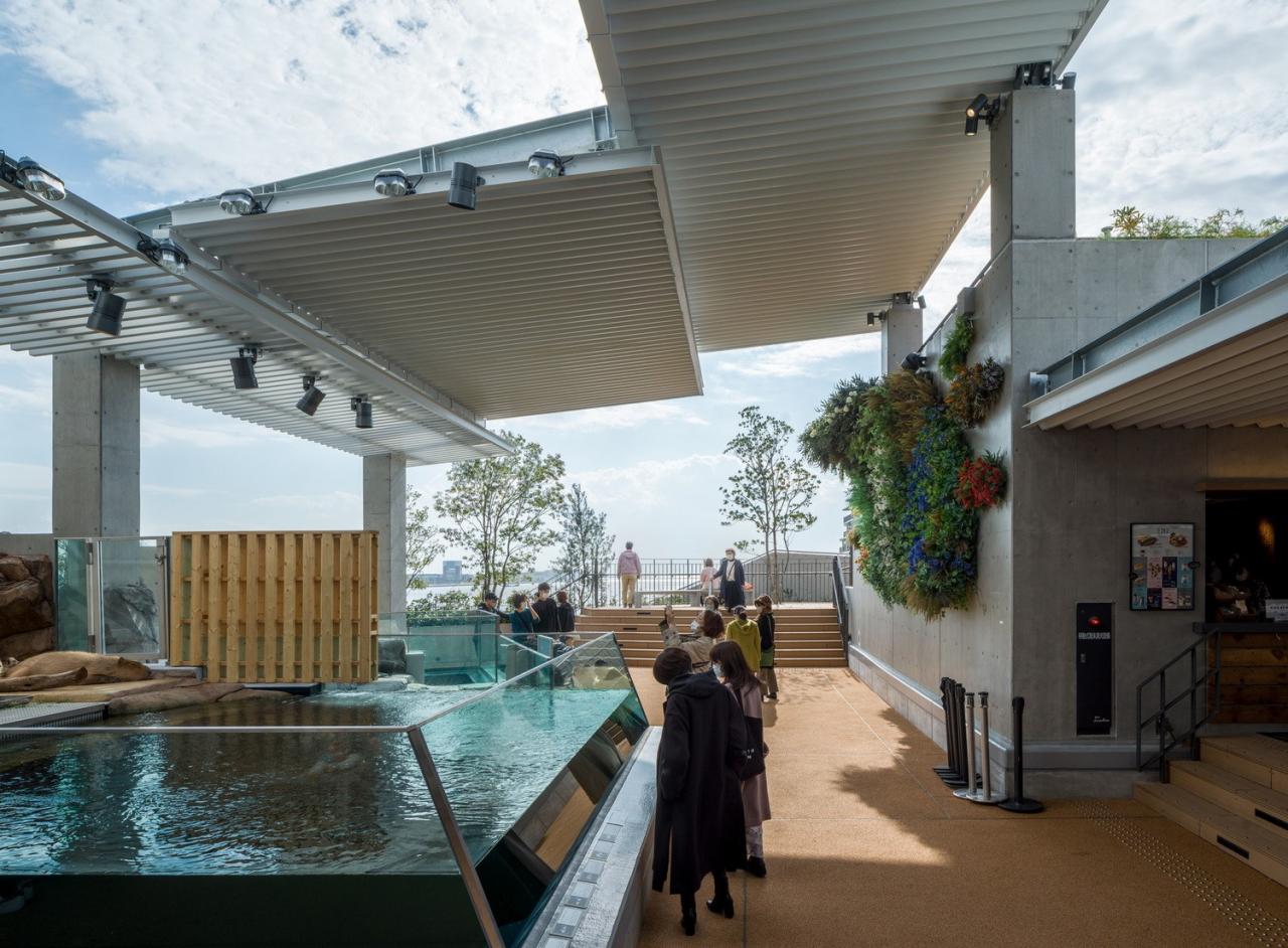 BIM建筑|神户港博物馆,海砂混凝土 / 大成建设 BIM建筑|神户港博物馆,海砂混凝土 / 大成建设