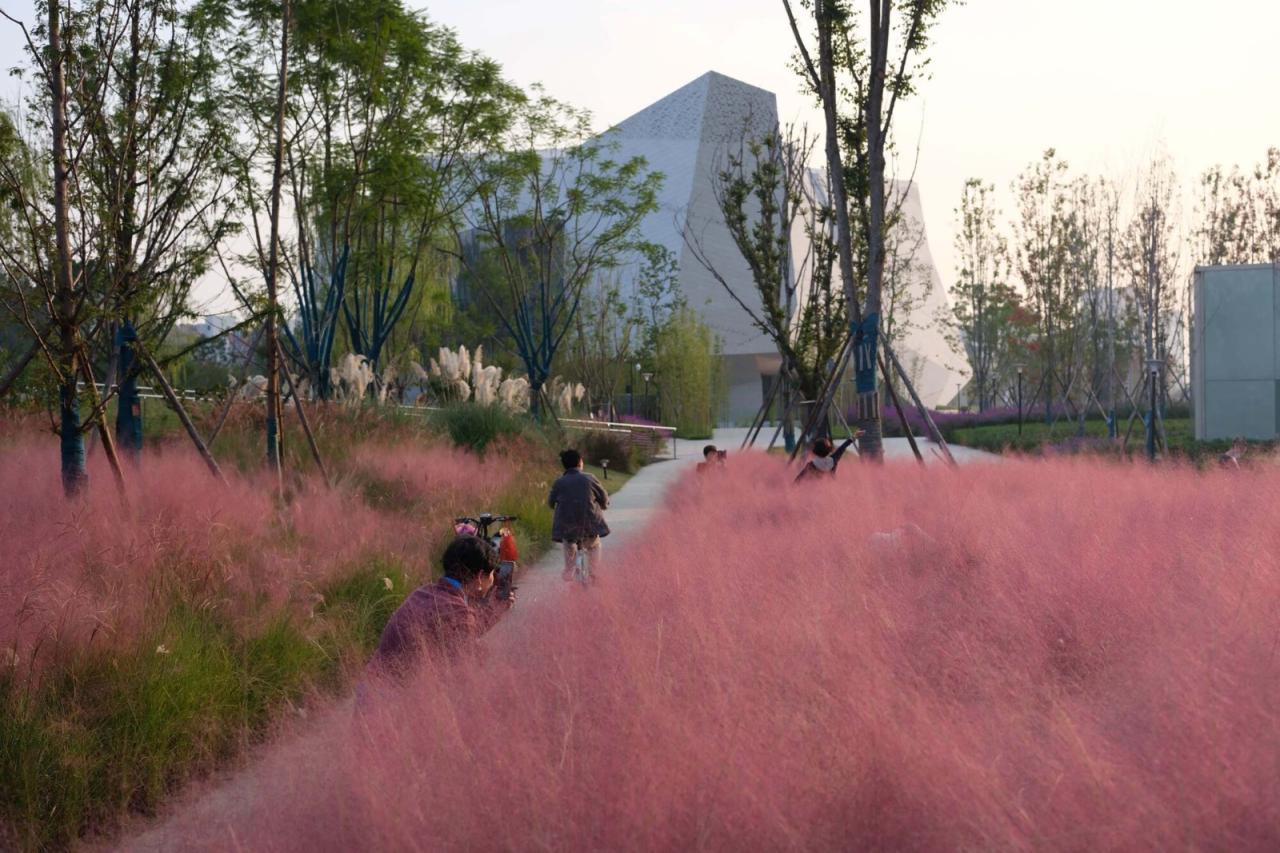 BIM建筑|成都自然博物馆 / Pelli Clarke & Partners + 中国建筑西南设计研究院 BIM建筑|成都自然博物馆 / Pelli Clarke & Partners + 中国建筑西南设计研究院