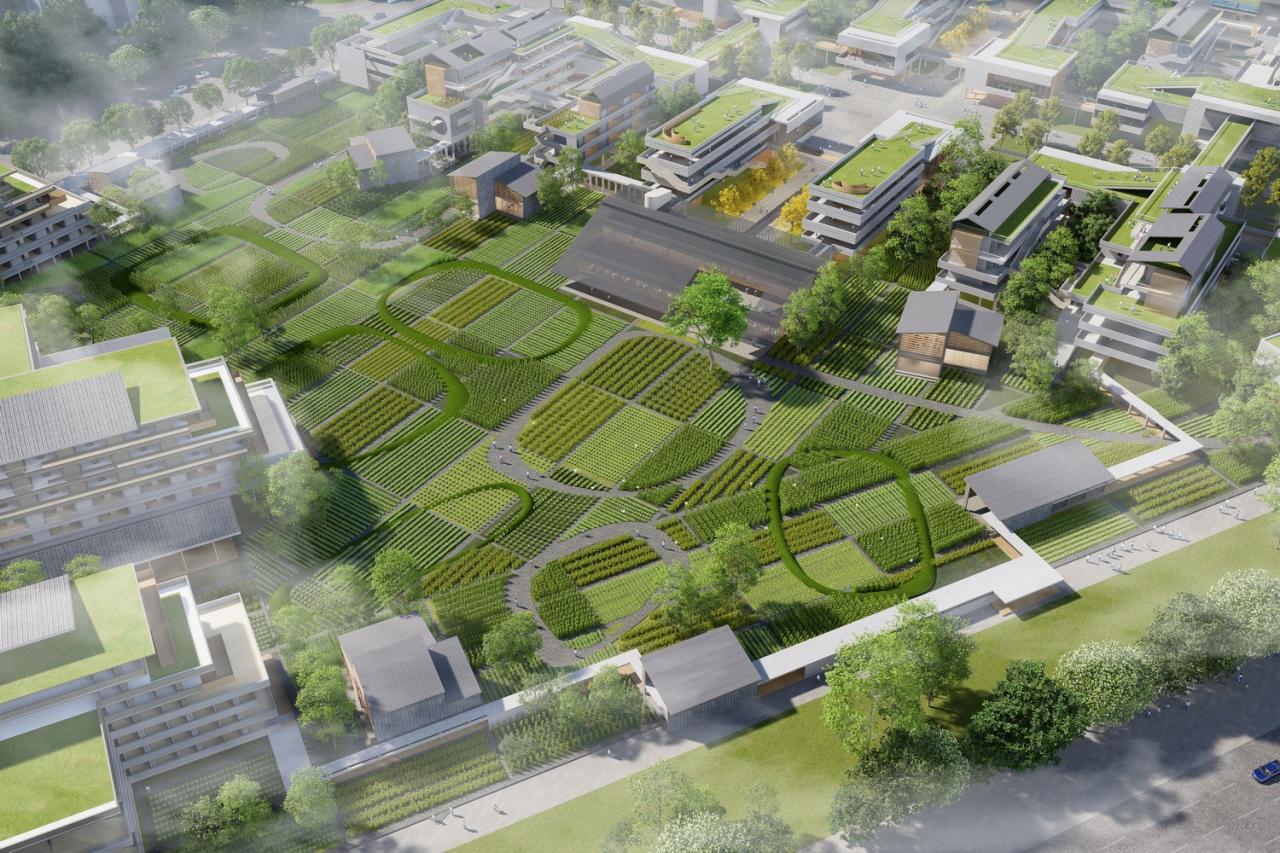 BIM建筑|湾区重点学校方案设计:佛山一中顺德学校 / AG汇创 BIM建筑|湾区重点学校方案设计:佛山一中顺德学校 / AG汇创