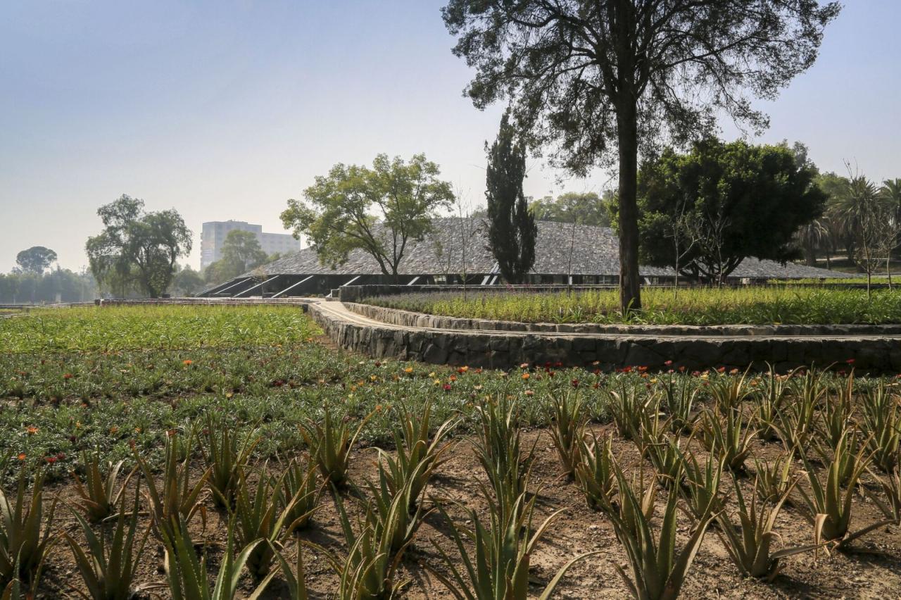 BIM建筑|覆盖在大地上,查普尔特佩克环境文化中心 / ERREqERRE Arquitectura y Urbanismo + Taller ID BIM建筑|覆盖在大地上,查普尔特佩克环境文化中心 / ERREqERRE Arquitectura y Urbanismo + Taller ID