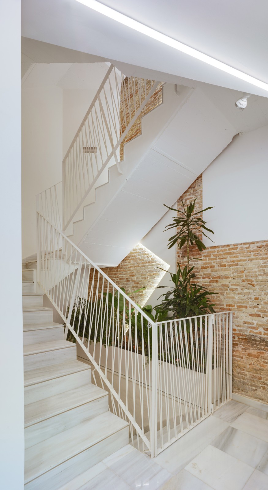 BIM建筑|Baltasar 大楼改造项目 / Santa-Cruz Arquitectura BIM建筑|Baltasar 大楼改造项目 / Santa-Cruz Arquitectura