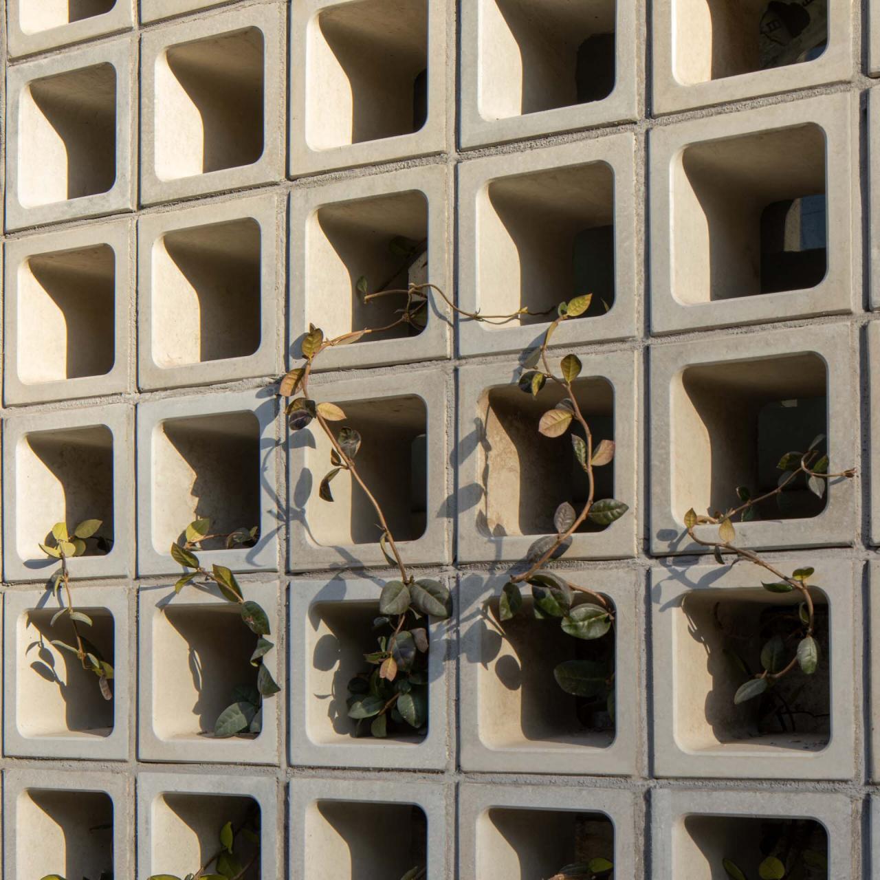 BIM建筑|福邸仓库改造 / say architects BIM建筑|福邸仓库改造 / say architects