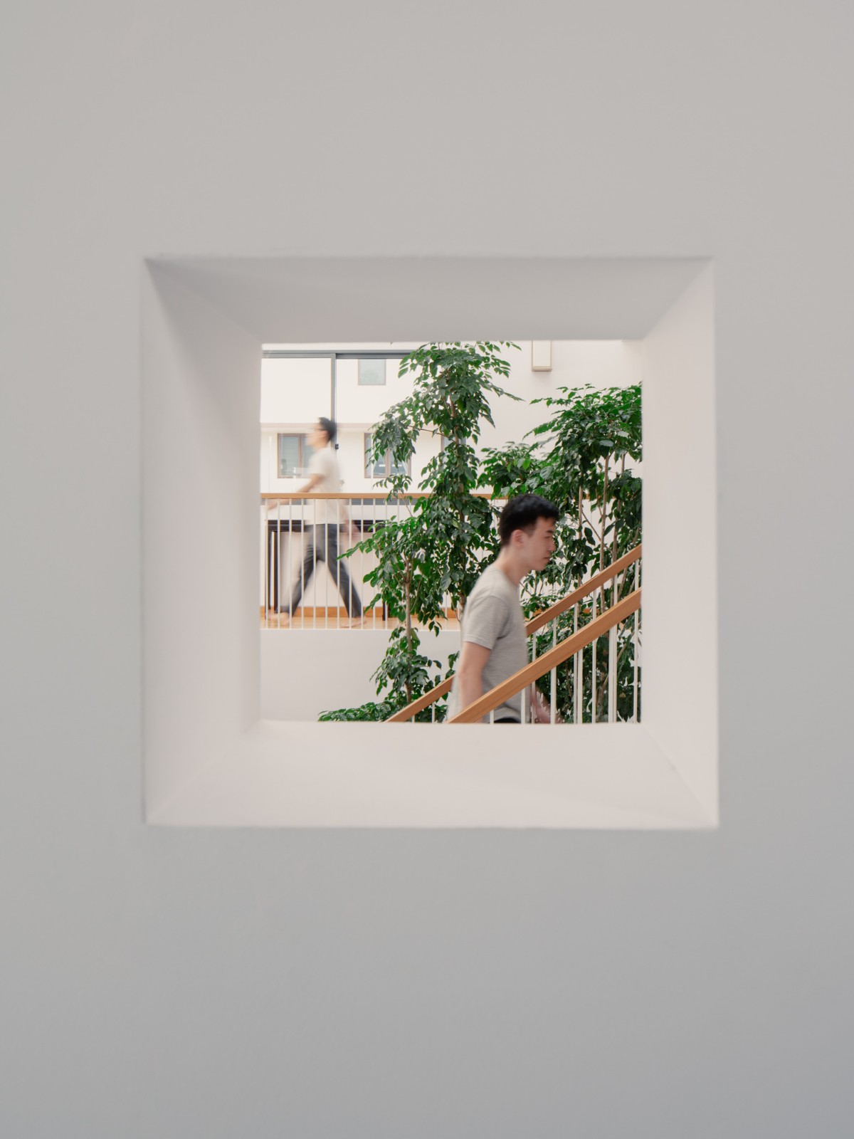BIM建筑|围屋 / Asolidplan BIM建筑|围屋 / Asolidplan