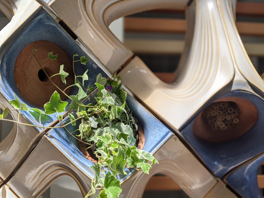 BIM建筑|英美建筑公司为鸟类和昆虫开发生活立面 BIM建筑|英美建筑公司为鸟类和昆虫开发生活立面