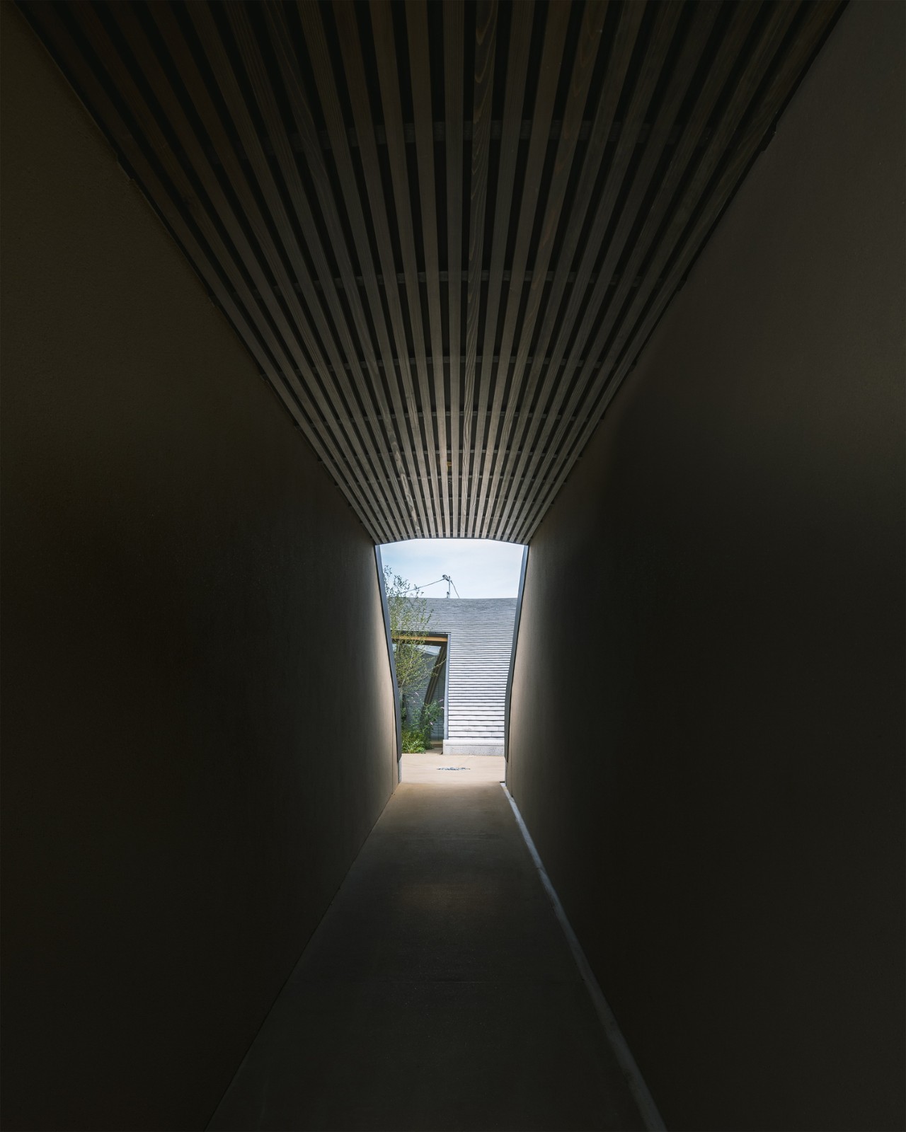 BIM建筑|天空之皿 / NKS Architects BIM建筑|天空之皿 / NKS Architects