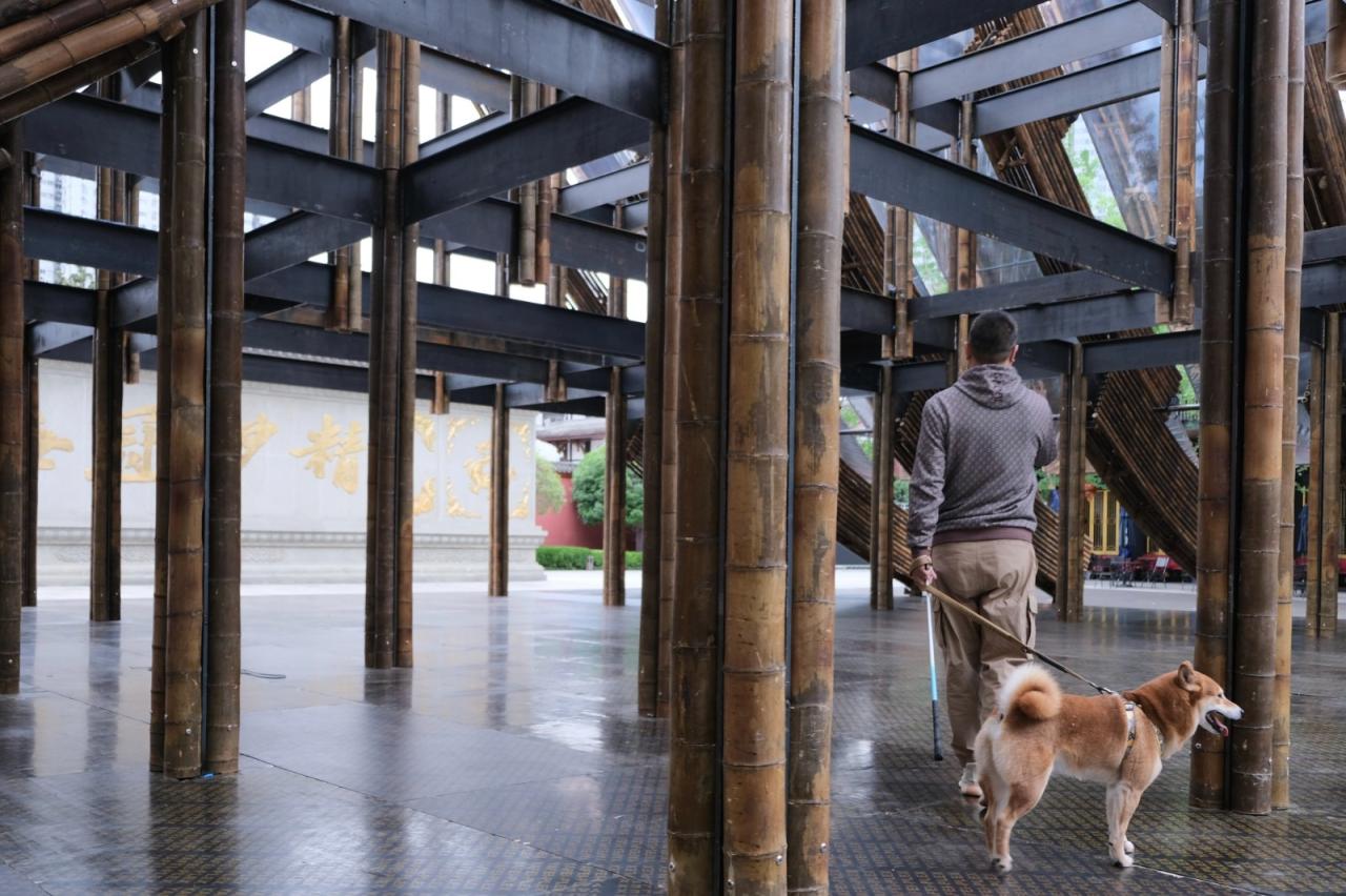 BIM建筑|撇捺之间,穿斗陌阡 / 裸筑更新建筑设计事务所 BIM建筑|撇捺之间,穿斗陌阡 / 裸筑更新建筑设计事务所