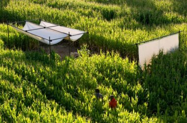 BIM建筑|伊朗田野出现生态度假屋-BIM建筑网