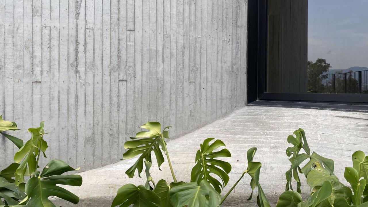 BIM建筑|DL1310 大楼 / Young & Ayata + Michan Architecture BIM建筑|DL1310 大楼 / Young & Ayata + Michan Architecture