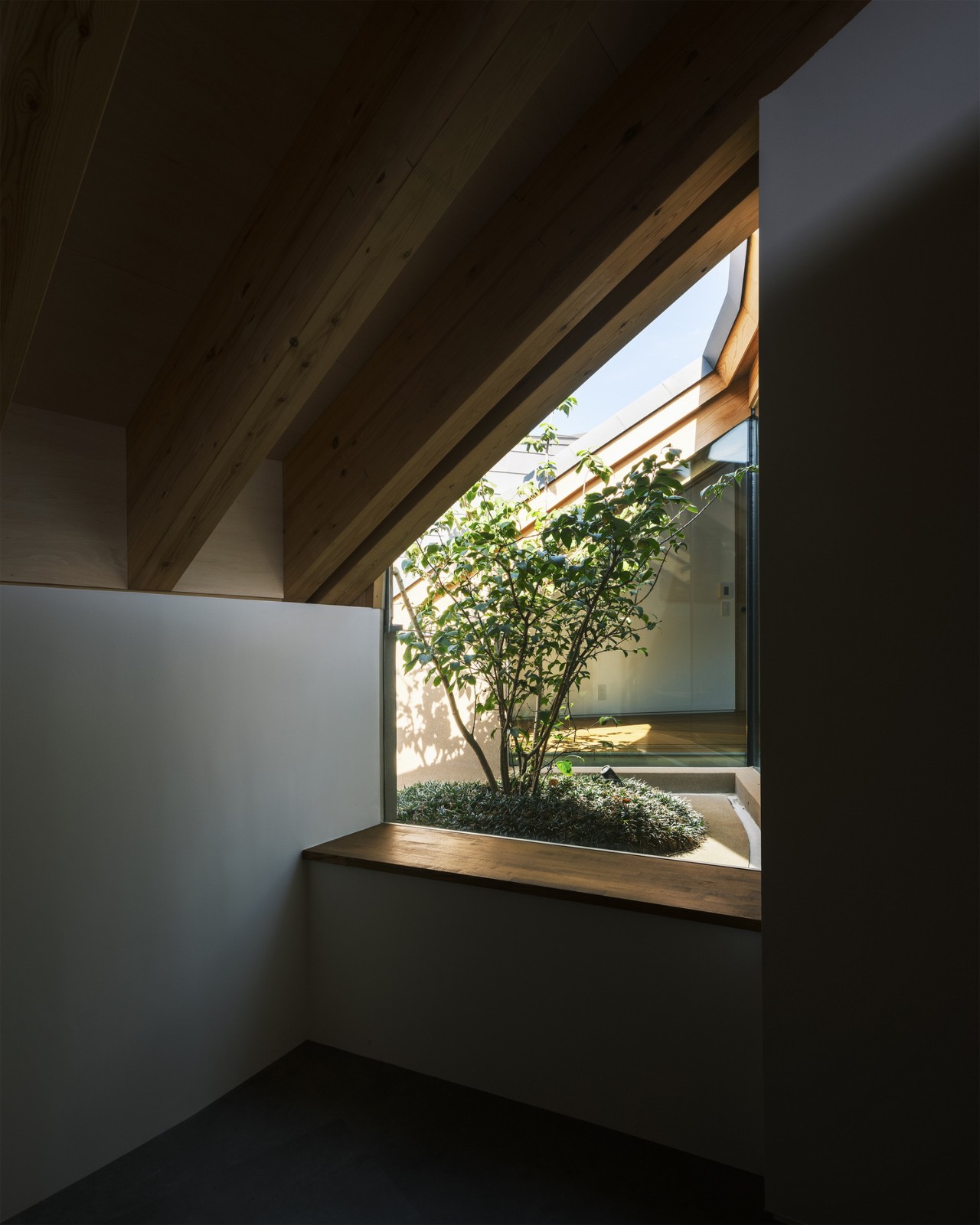 BIM建筑|天空之皿 / NKS Architects BIM建筑|天空之皿 / NKS Architects