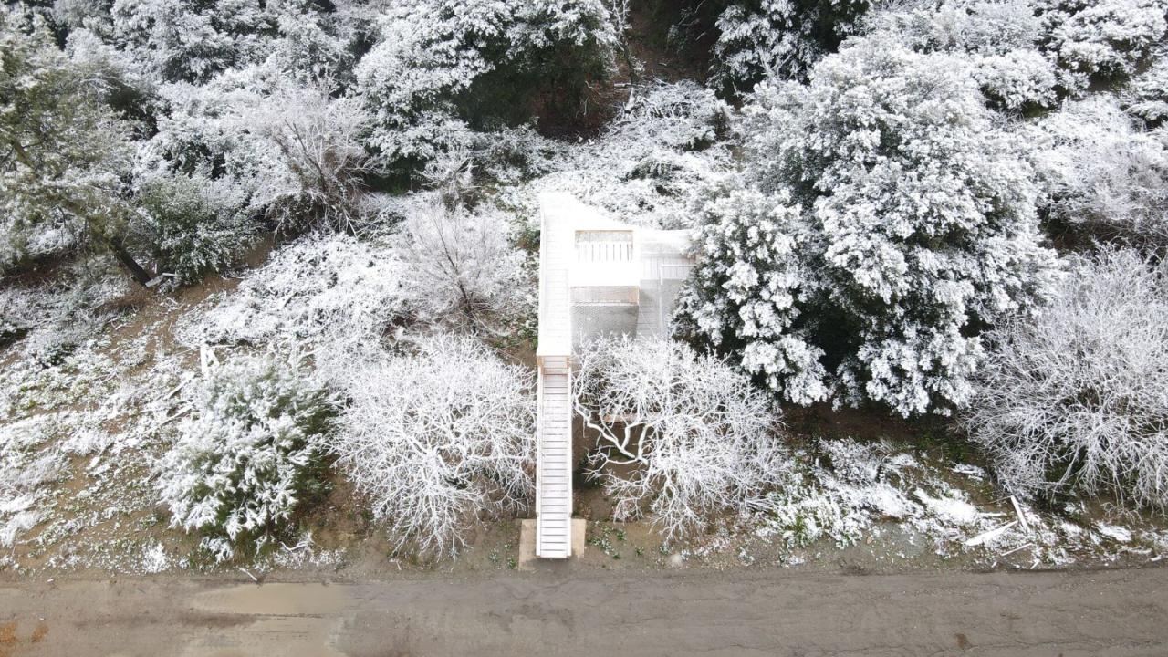 BIM建筑|FLORA 观测站 / IAAC BIM建筑|FLORA 观测站 / IAAC
