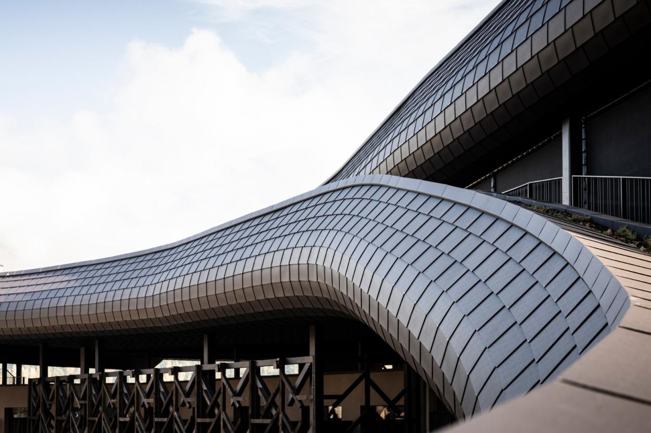 BIM建筑|金属皮肤,阿尔卑斯山下游乐场酒店 / noa* network of architecture BIM建筑|金属皮肤,阿尔卑斯山下游乐场酒店 / noa* network of architecture