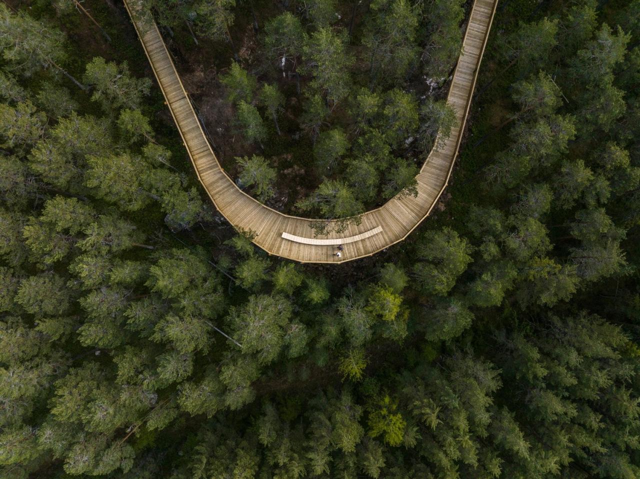 BIM建筑|树顶漫步,Hamaren 活动公园 / EFFEKT BIM建筑|树顶漫步,Hamaren 活动公园 / EFFEKT