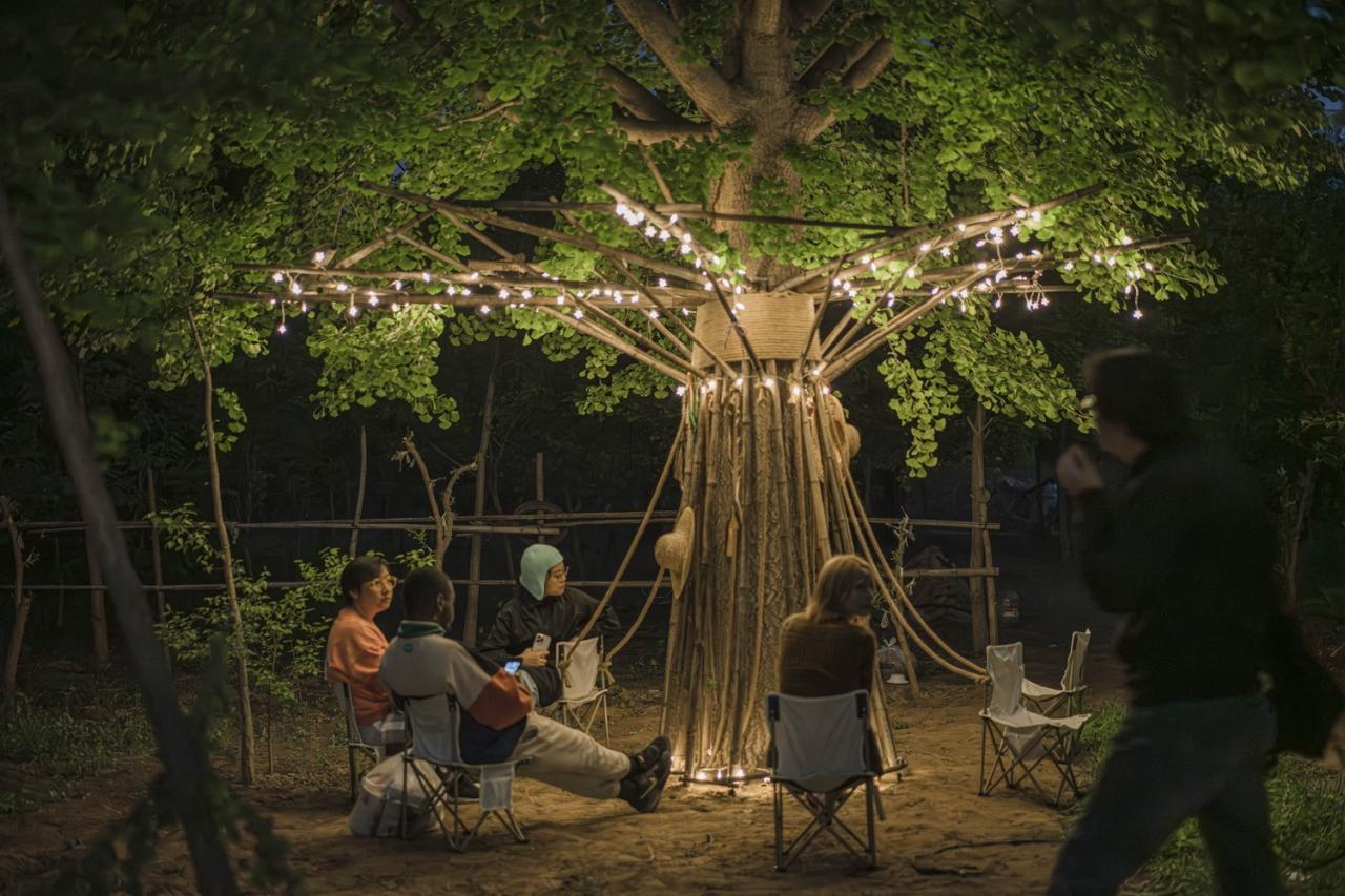 BIM建筑|拥抱可持续:竹装置 Tree of Life / UK Studio BIM建筑|拥抱可持续:竹装置 Tree of Life / UK Studio