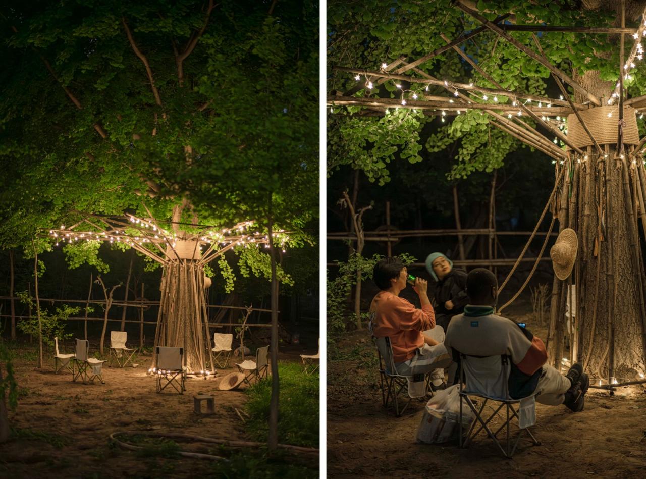BIM建筑|拥抱可持续:竹装置 Tree of Life / UK Studio BIM建筑|拥抱可持续:竹装置 Tree of Life / UK Studio