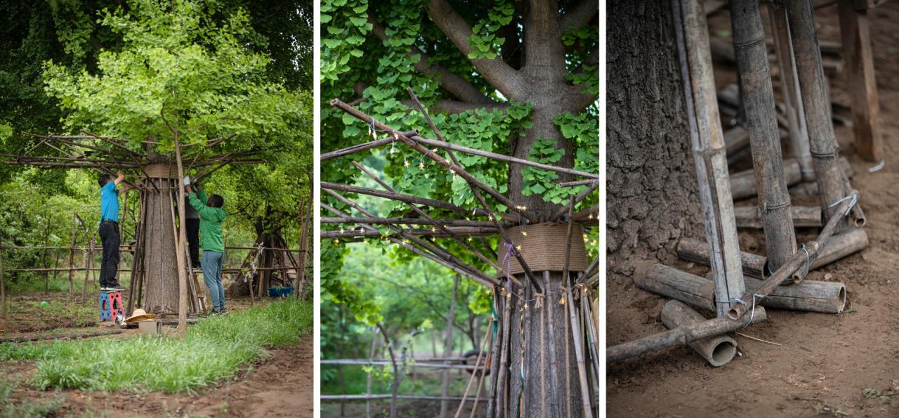 BIM建筑|拥抱可持续:竹装置 Tree of Life / UK Studio BIM建筑|拥抱可持续:竹装置 Tree of Life / UK Studio