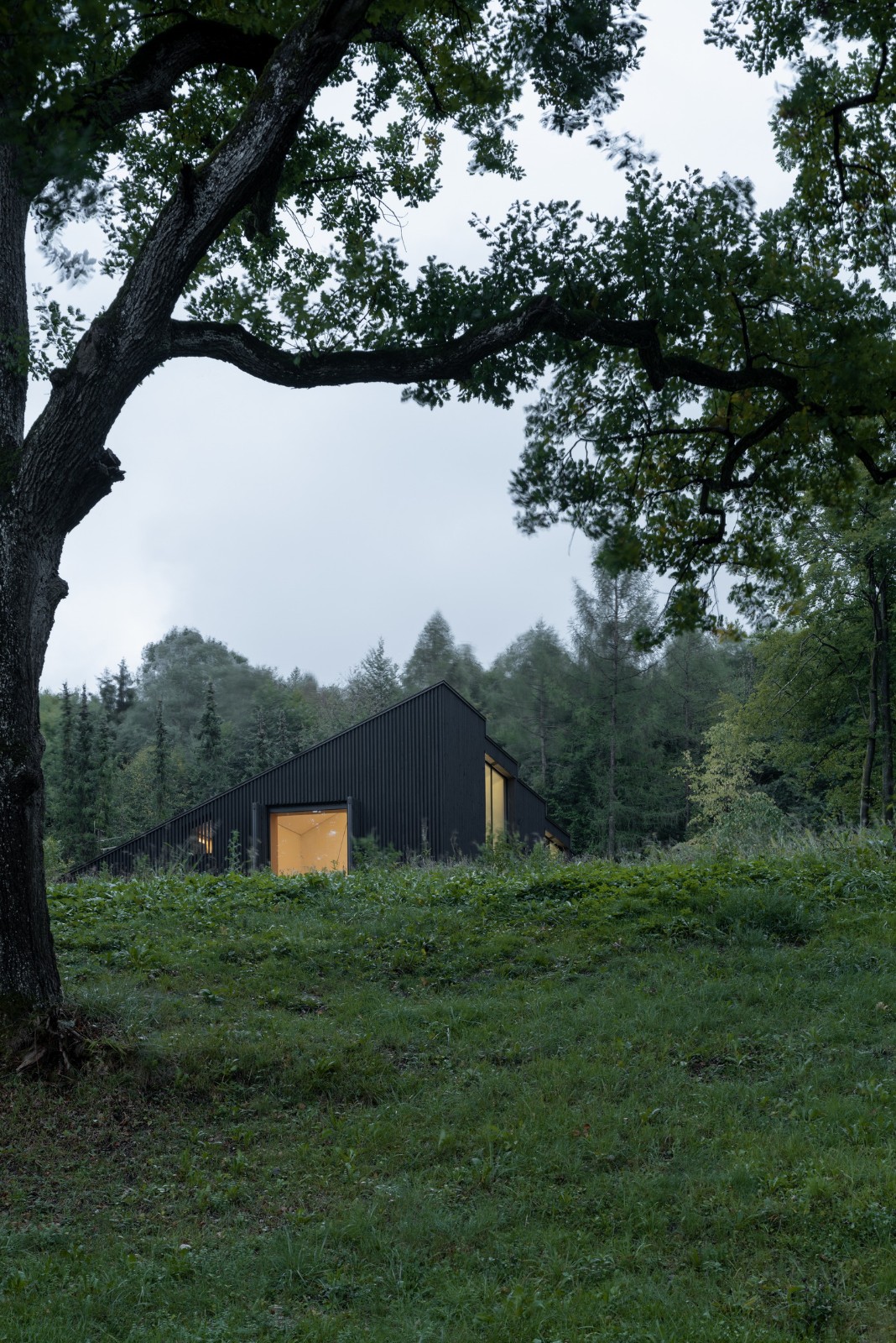 BIM建筑|木质立方体,湖边木屋 / Appels Architekten BIM建筑|木质立方体,湖边木屋 / Appels Architekten