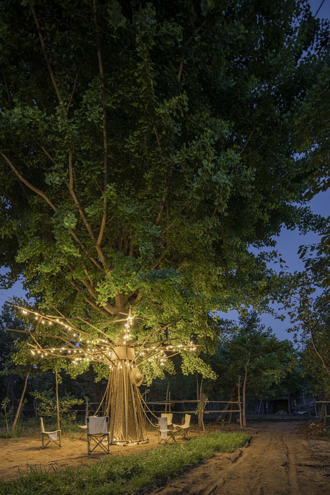 BIM建筑|拥抱可持续:竹装置 Tree of Life / UK Studio BIM建筑|拥抱可持续:竹装置 Tree of Life / UK Studio