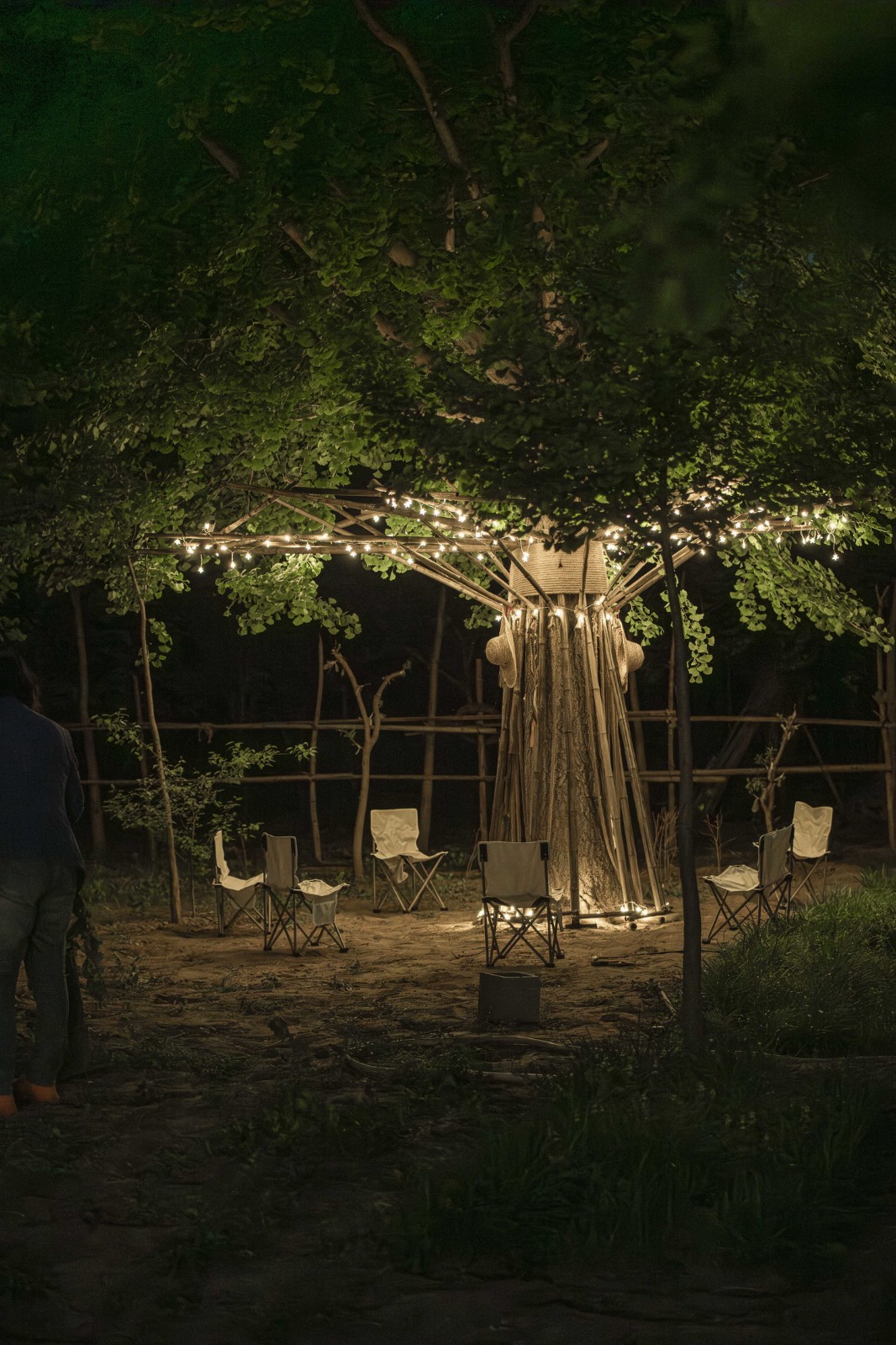 BIM建筑|拥抱可持续:竹装置 Tree of Life / UK Studio BIM建筑|拥抱可持续:竹装置 Tree of Life / UK Studio