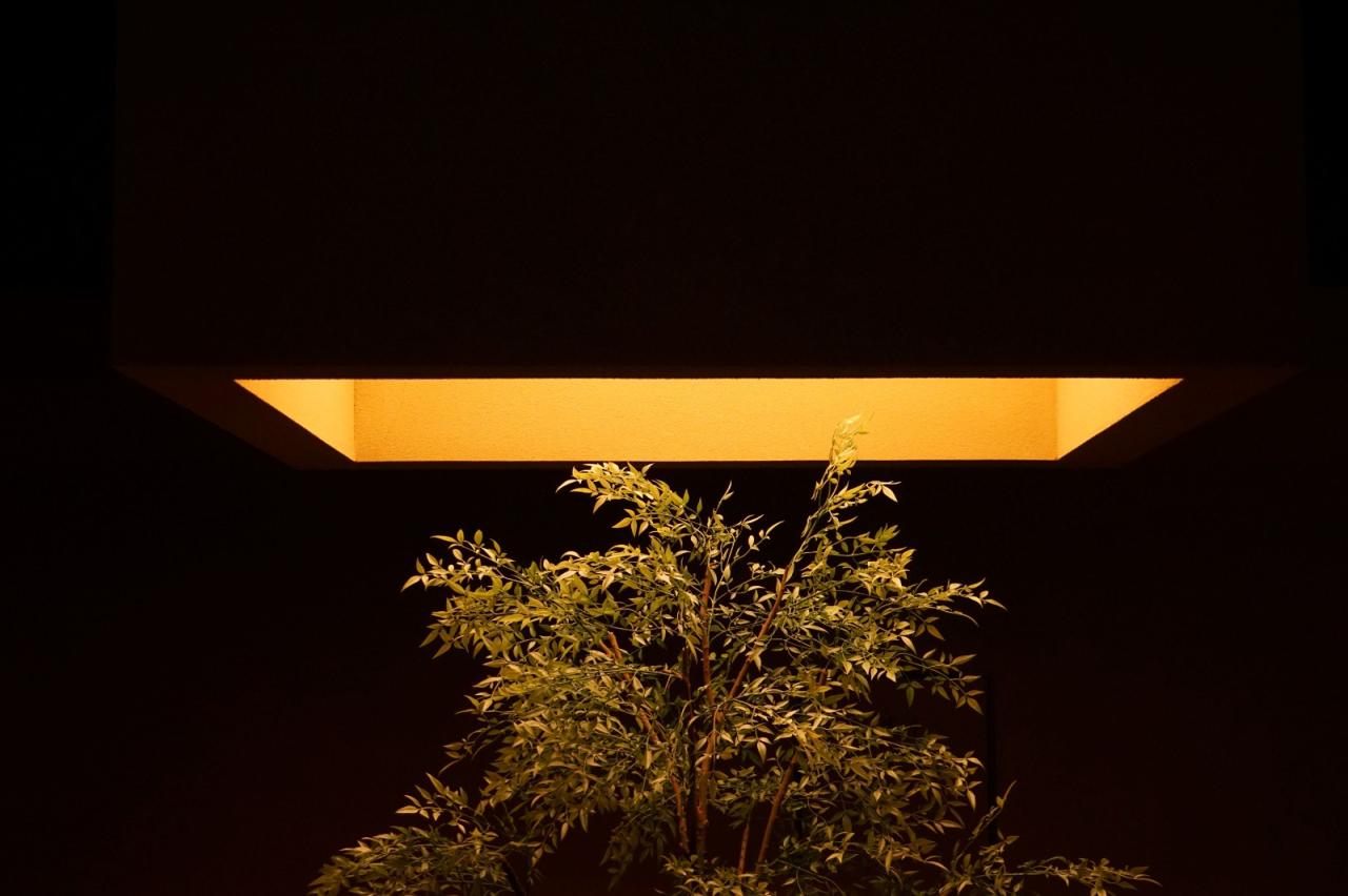 BIM建筑|内向理疗SPA,沈阳 / 素造建筑 BIM建筑|内向理疗SPA,沈阳 / 素造建筑