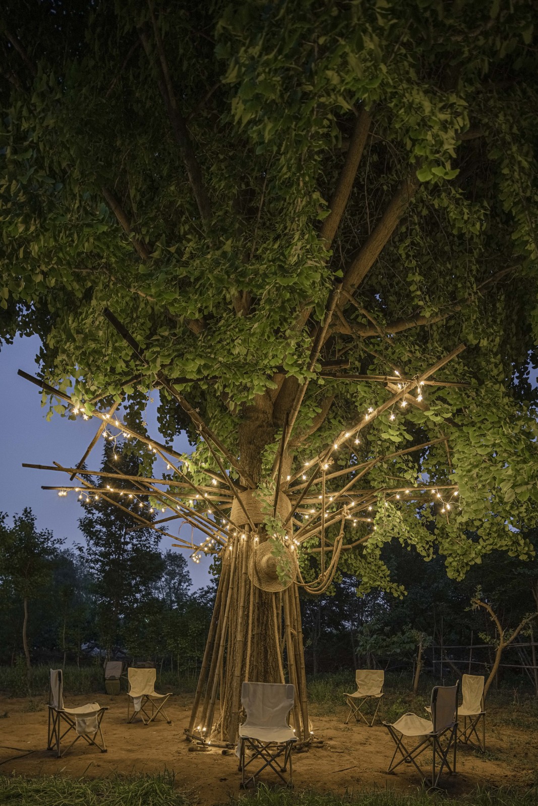 BIM建筑|拥抱可持续:竹装置 Tree of Life / UK Studio BIM建筑|拥抱可持续:竹装置 Tree of Life / UK Studio