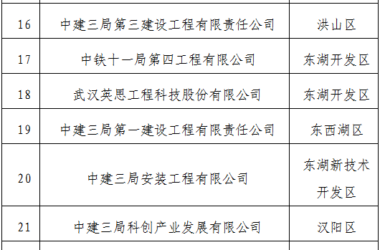 装配式政策|武汉市公示2023年智能建造试点企业、试点项目、试点园区(工厂)(第一批)-BIM建筑网
