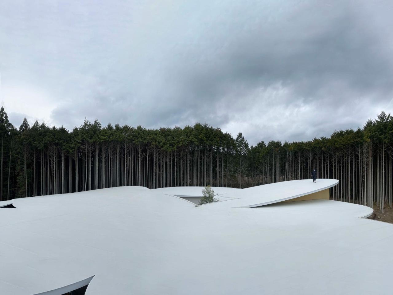 BIM建筑|儿童的森林托儿所 / 山下贵成建筑设计 BIM建筑|儿童的森林托儿所 / 山下贵成建筑设计