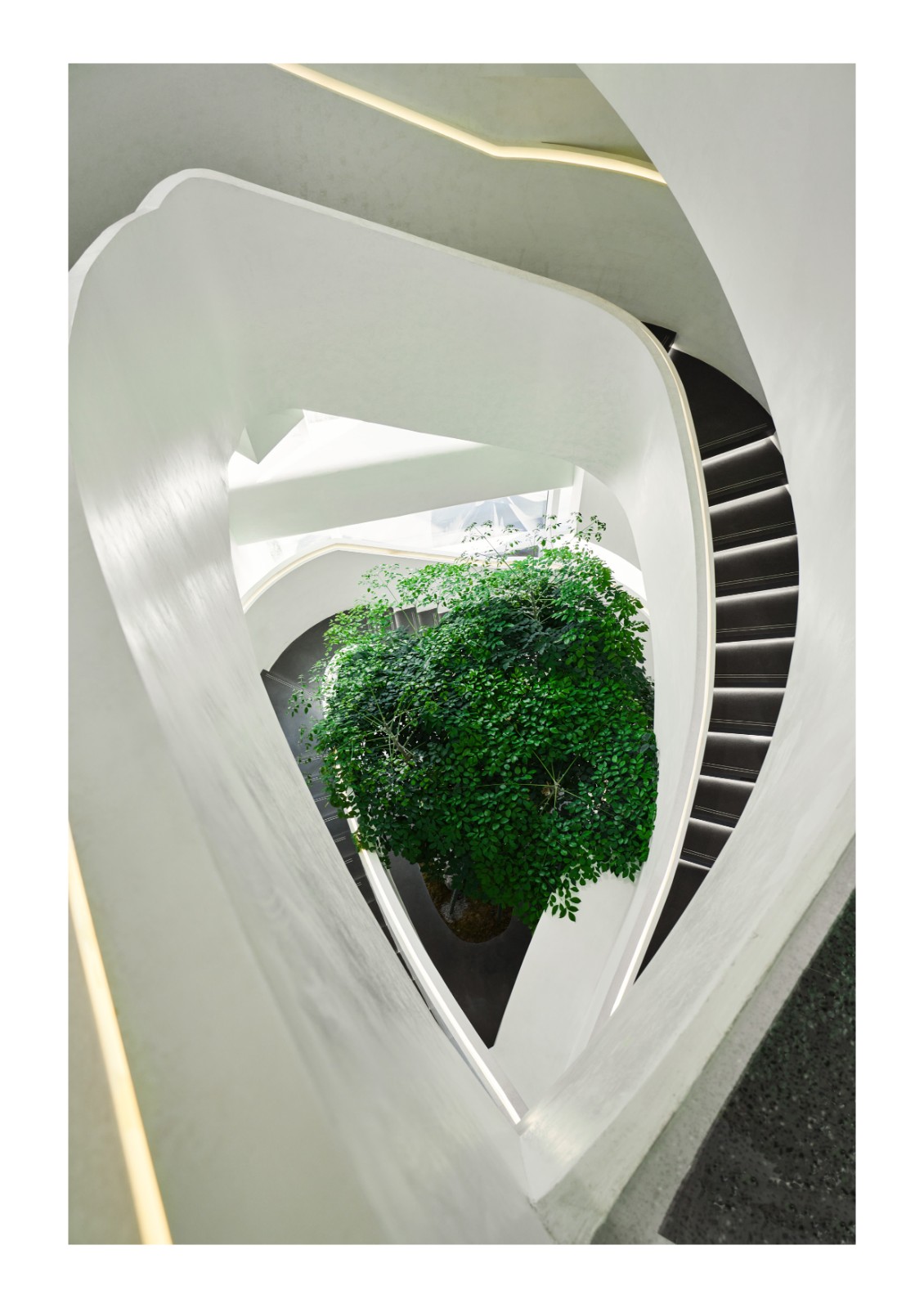 BIM建筑|成都天投国际社区当代艺术中心 / 上海境澜建筑设计有限公司 BIM建筑|成都天投国际社区当代艺术中心 / 上海境澜建筑设计有限公司