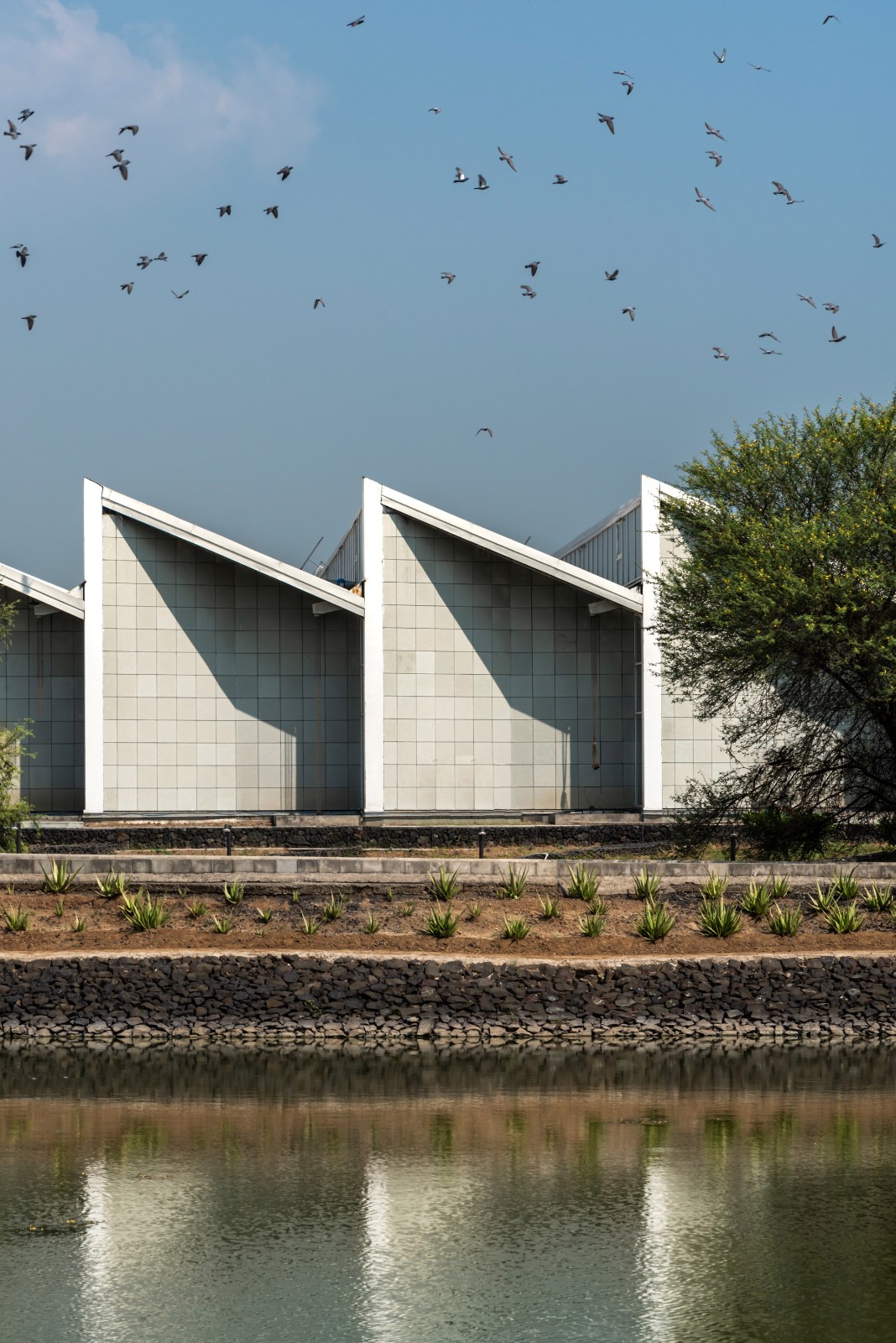 BIM建筑|秩序城堡,Sanand 工厂 / Studio Saar BIM建筑|秩序城堡,Sanand 工厂 / Studio Saar