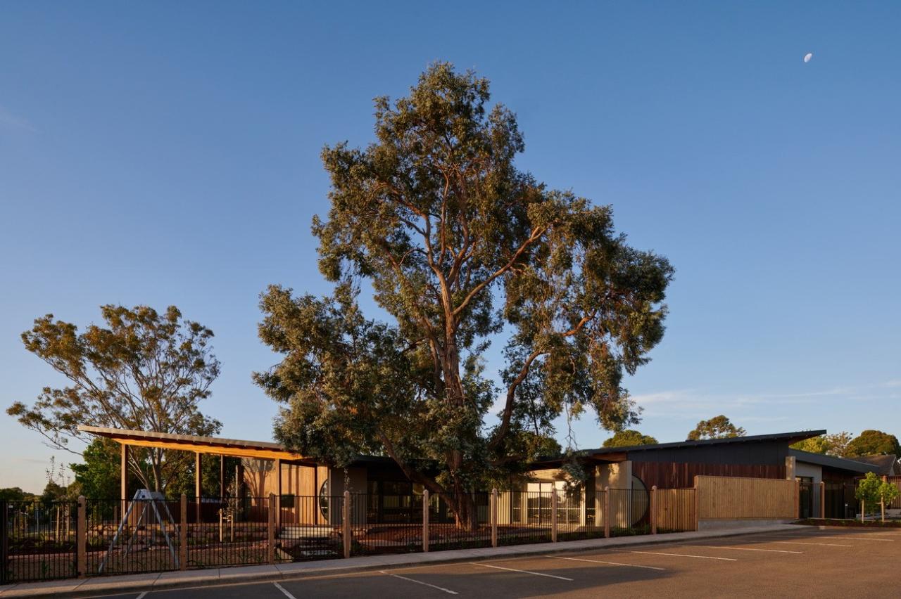 BIM建筑|抱树而建,Wellington 亲子中心 / AOA Christopher Peck BIM建筑|抱树而建,Wellington 亲子中心 / AOA Christopher Peck