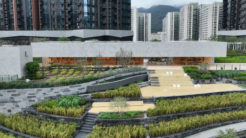 BIM建筑|斯诺赫塔在香港推出“绿肺”城市农场 BIM建筑|斯诺赫塔在香港推出“绿肺”城市农场