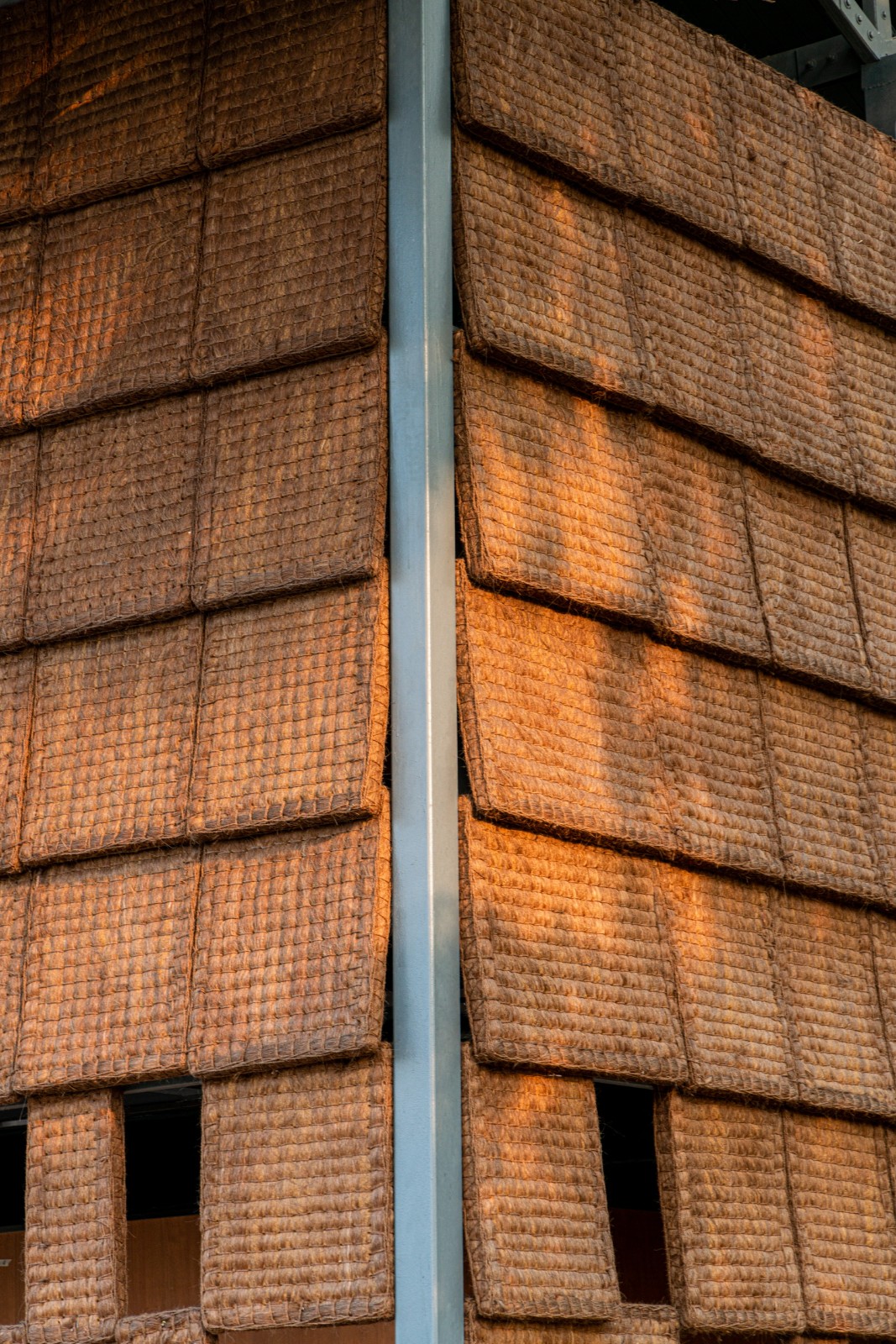 BIM建筑|面朝花海的棕厕 / 在行建筑 BIM建筑|面朝花海的棕厕 / 在行建筑