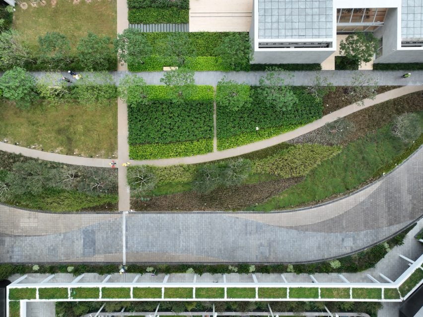 BIM建筑|斯诺赫塔在香港推出“绿肺”城市农场 BIM建筑|斯诺赫塔在香港推出“绿肺”城市农场