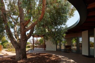 BIM建筑|抱树而建,Wellington 亲子中心 / AOA Christopher Peck-BIM建筑网